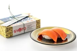 Sushi Plastic Model: Ver. Salmon 11 Sushi Plastic Model: Ver. Salmon -Kotobukiye Shop 04688c42174c48bfa130b46bdd2885e3.jpg
