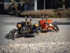 AQUACULTURE TANK 007 Fiddler Crab (Gold Black) -Kotobukiye Shop 10d76d6839aa459fb0442c85e5da34d9.jpg