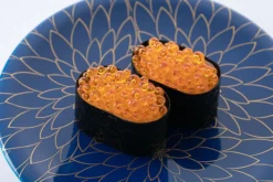 Sushi Plastic Model: Ver. Ikura (Salmon Roe) -Kotobukiye Shop 388e08778e214a7ebc15e865c7f24d96.jpg