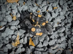 AQUACULTURE TANK 007 Fiddler Crab (Gold Black) -Kotobukiye Shop 435a6cdbe4cd4c9090b9a7a7a0203478.jpg