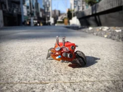 AQUACULTURE TANK 008 Fiddler Crab (Silver Red) 13 AQUACULTURE TANK 008 Fiddler Crab (Silver Red) -Kotobukiye Shop 4e53fac66bac454daeb606923f557c21.jpg