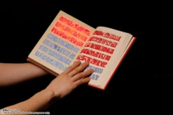 Bandai Proplica Zatch Bell! Red Spellbook -Kotobukiye Shop 8fc6d896855b489dbf60ee2867b74d37.jpg